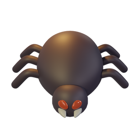 Spider  3D Icon