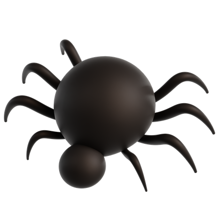 Spider  3D Icon