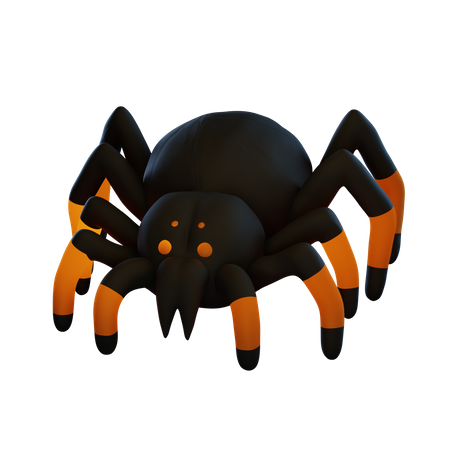 Spider 3D Illustration
