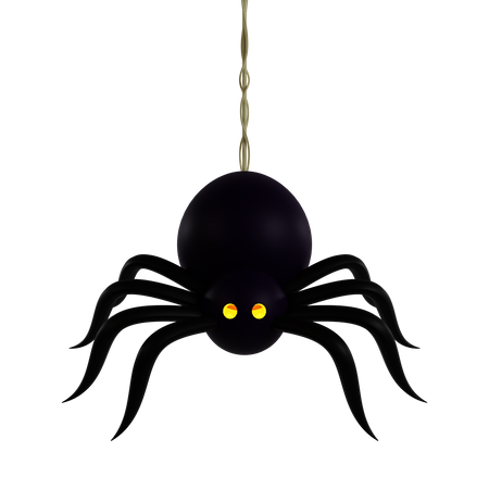 Spider 3D Icon