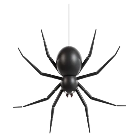 Spider  3D Icon