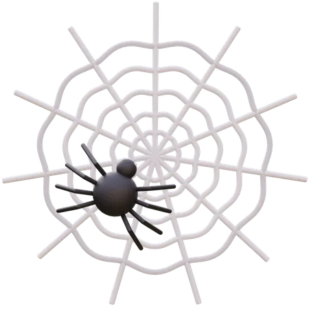 Spider And Web Of Halloween Day  3D Icon