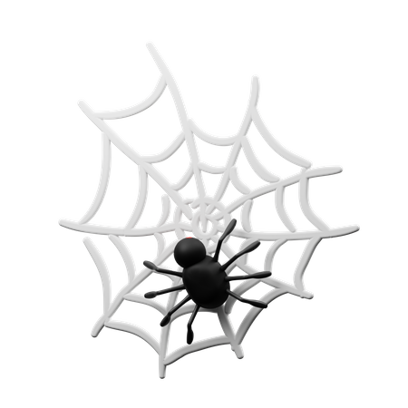 Spider Nest And Spider  3D Icon