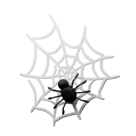 Spider Nest And Spider  3D Icon