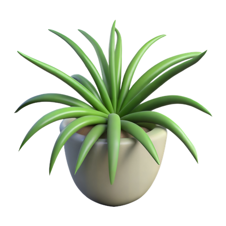 クモの巣植物  3D Icon