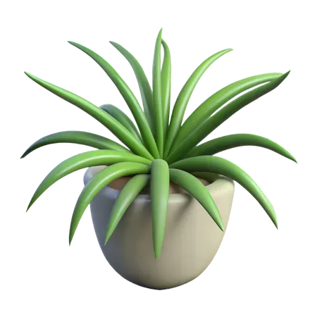 クモの巣植物  3D Icon