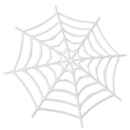 Spider Web  3D Icon