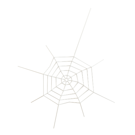 Spider Web  3D Icon