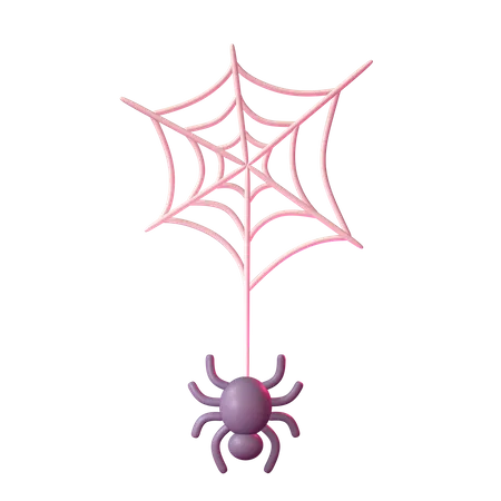 Spider Web  3D Icon