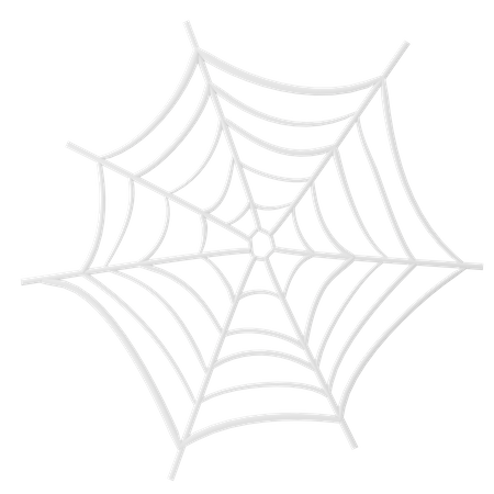 Spider Web  3D Icon