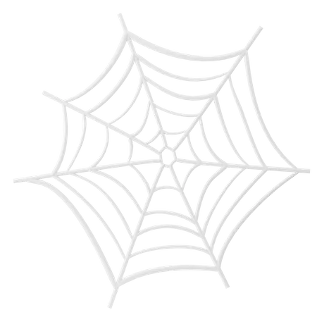 Spider Web  3D Icon