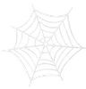 Spider Web