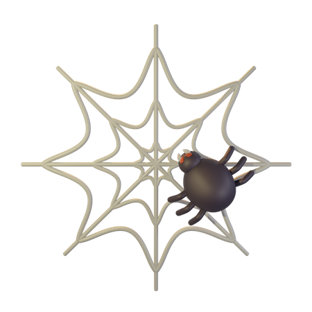 Spider Web  3D Icon