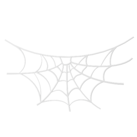 Spider Web  3D Icon