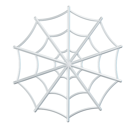 Spider Web  3D Icon