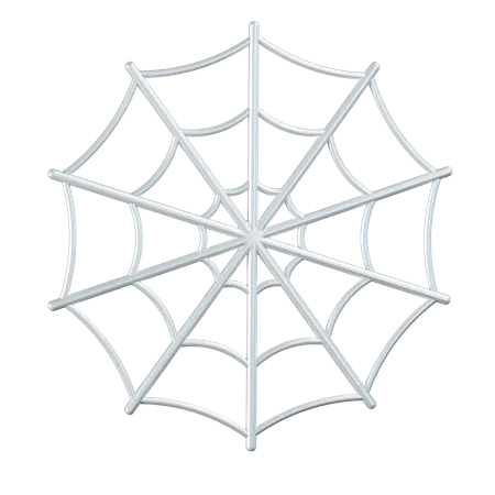 Spider Web  3D Icon