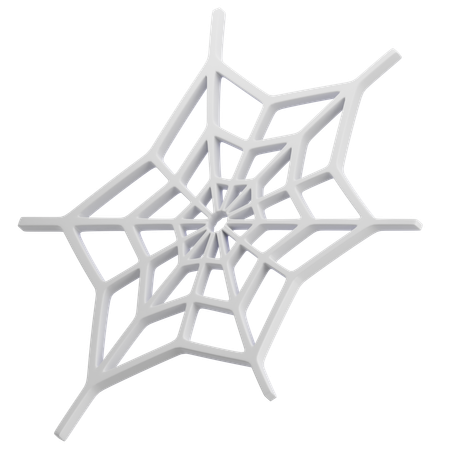 Spider Web  3D Icon