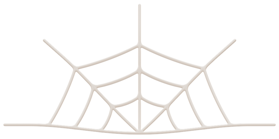 Spider Web  3D Icon