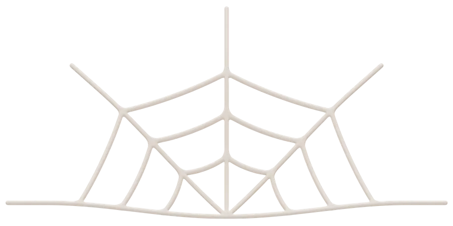 Spider Web  3D Icon