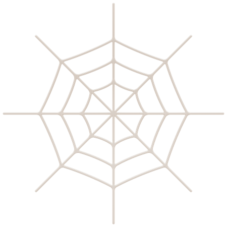 Spider Web  3D Icon