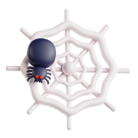 Spider Web  3D Icon