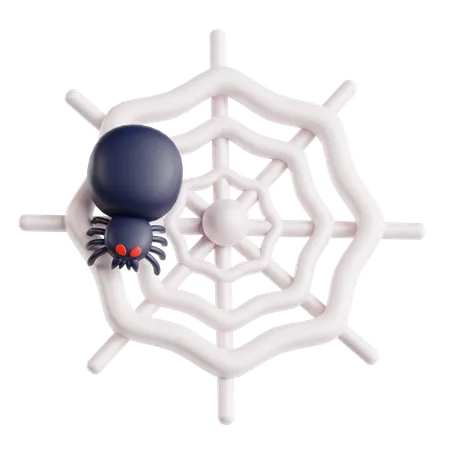 Spider Web  3D Icon