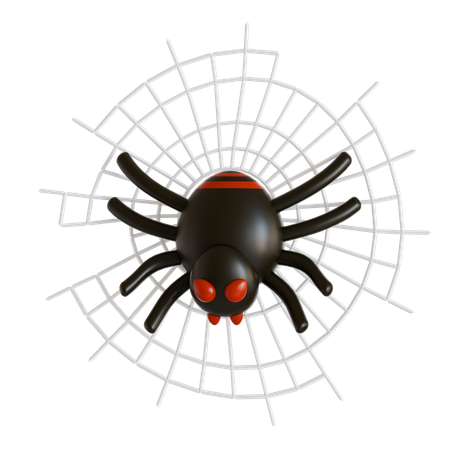 Spider Web  3D Icon
