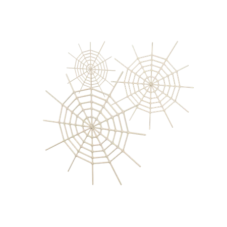 Spider Web  3D Illustration