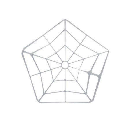 Spider Web  3D Illustration