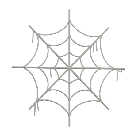 Spider Web 3D Icon