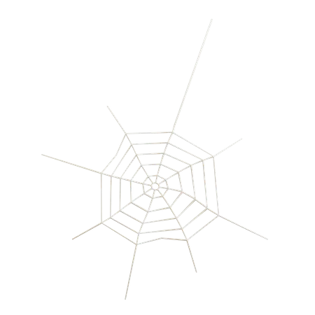 3 D Spider Web Illustration 3D Icon