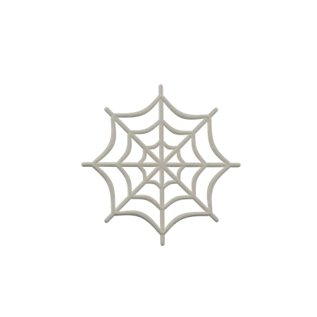 Spider Web  3D Icon