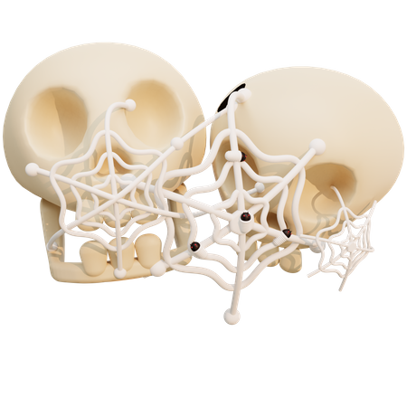 Spider Web On Skull  3D Illustration