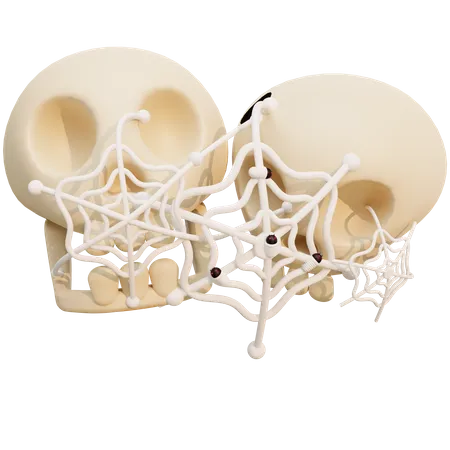 Spider Web On Skull  3D Illustration