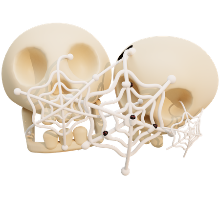 Spider Web On Skull 3D Illustration