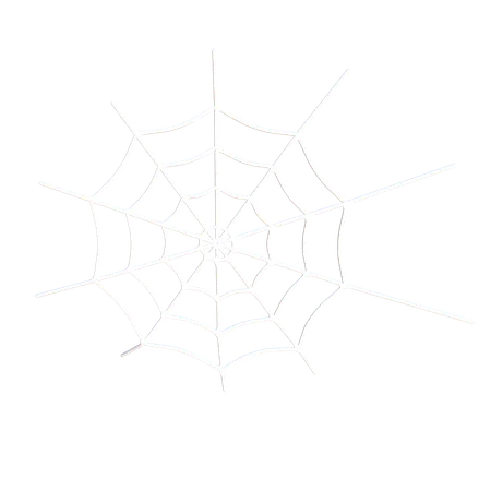 Spider Webs  3D Icon