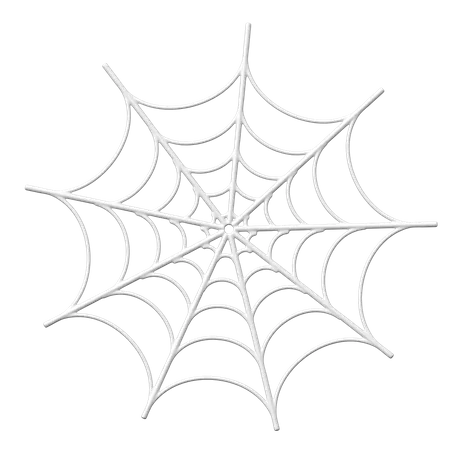 Spiderweb  3D Icon