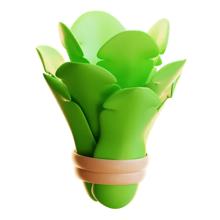 SPINACH  3D Icon