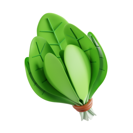 Spinach  3D Icon