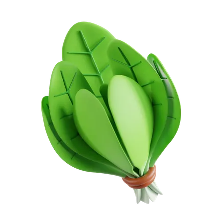 Spinach  3D Icon