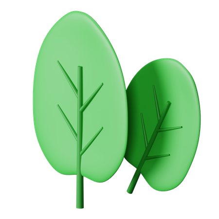 Spinach  3D Icon