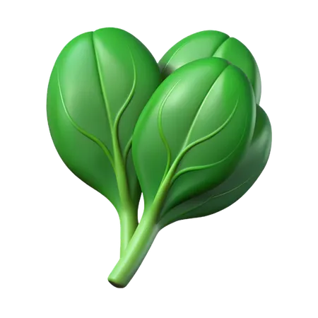 Spinach  3D Icon