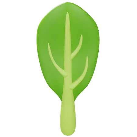 Spinach  3D Icon