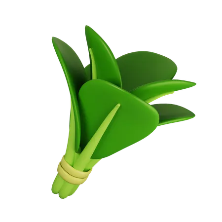 Spinach  3D Icon