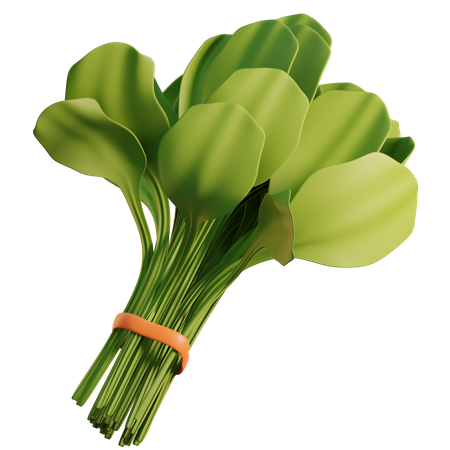 Spinach  3D Icon