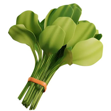 Spinach  3D Icon