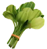 Spinach