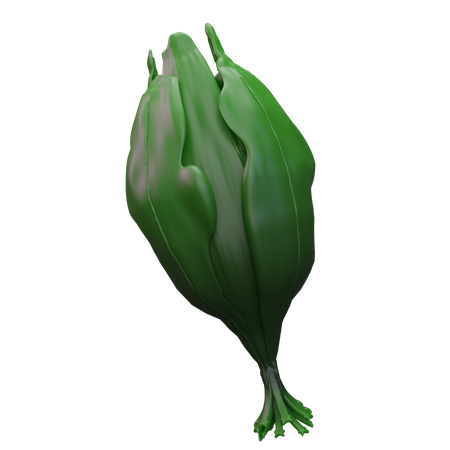 Spinach  3D Icon