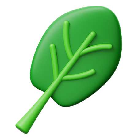 Spinach  3D Icon