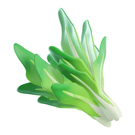 Spinach  3D Icon